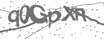 CAPTCHA Image