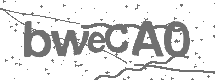CAPTCHA Image