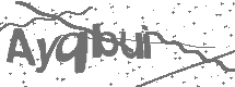 CAPTCHA Image