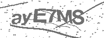CAPTCHA Image