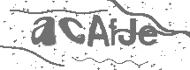 CAPTCHA Image