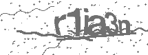 CAPTCHA Image