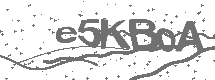 CAPTCHA Image