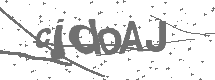 CAPTCHA Image