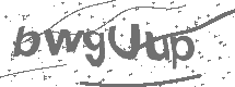 CAPTCHA Image