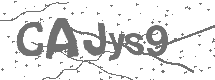 CAPTCHA Image