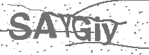 CAPTCHA Image