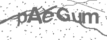 CAPTCHA Image