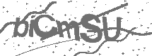 CAPTCHA Image