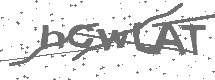 CAPTCHA Image