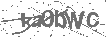 CAPTCHA Image