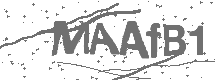 CAPTCHA Image
