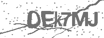 CAPTCHA Image