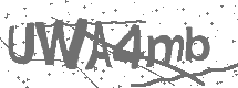 CAPTCHA Image