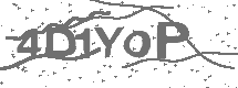 CAPTCHA Image