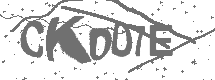 CAPTCHA Image