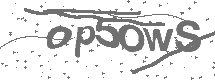 CAPTCHA Image