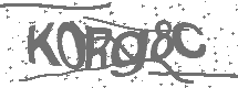 CAPTCHA Image
