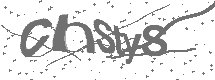 CAPTCHA Image