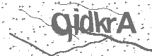 CAPTCHA Image