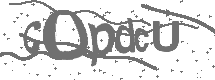 CAPTCHA Image