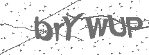 CAPTCHA Image