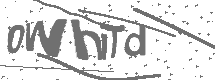 CAPTCHA Image