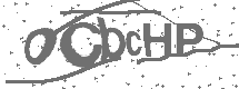 CAPTCHA Image