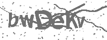 CAPTCHA Image