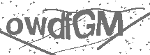 CAPTCHA Image