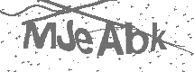 CAPTCHA Image