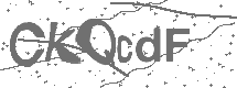 CAPTCHA Image