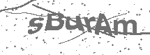 CAPTCHA Image