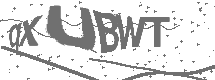 CAPTCHA Image
