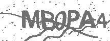 CAPTCHA Image