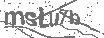 CAPTCHA Image