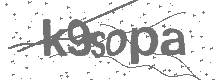 CAPTCHA Image