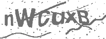 CAPTCHA Image