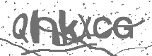CAPTCHA Image