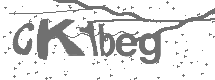 CAPTCHA Image