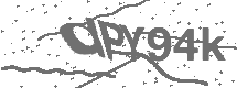 CAPTCHA Image