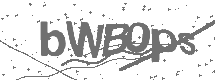 CAPTCHA Image