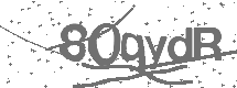 CAPTCHA Image