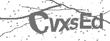 CAPTCHA Image