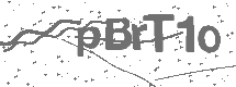 CAPTCHA Image