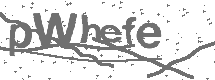 CAPTCHA Image