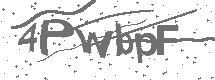 CAPTCHA Image