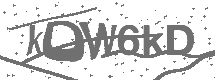 CAPTCHA Image