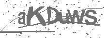CAPTCHA Image