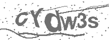 CAPTCHA Image